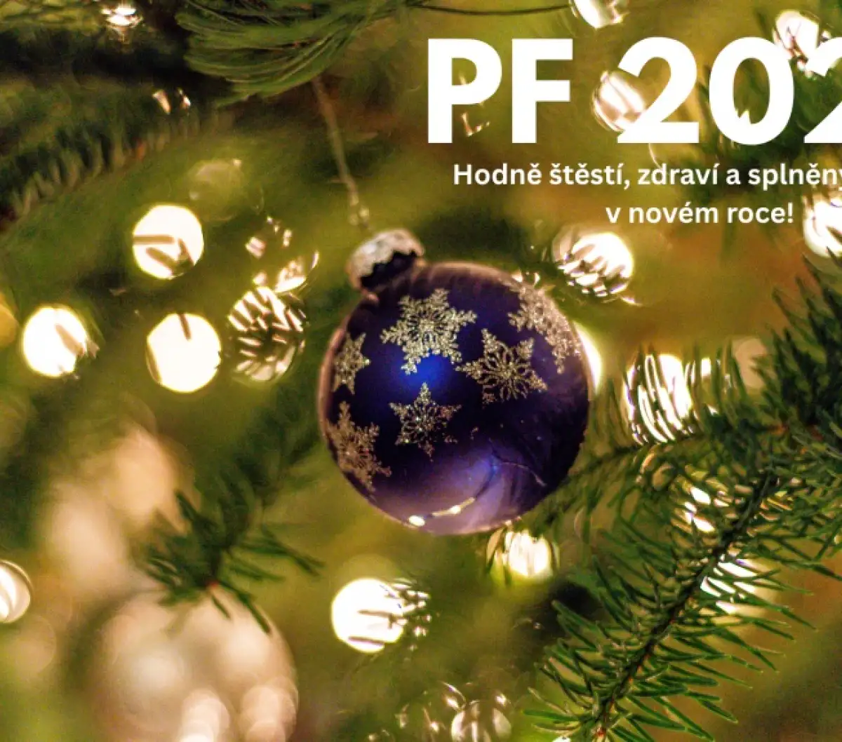PF 2026